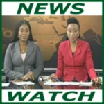 all nigeria news &amp; newspapers android application logo